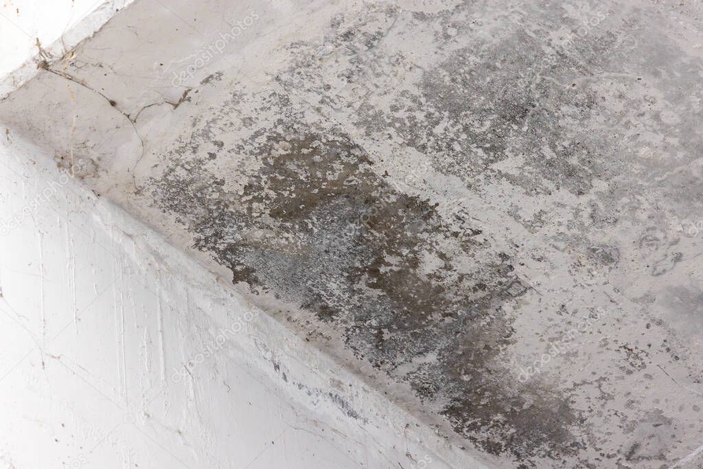 Lecksuche auf Flachdach